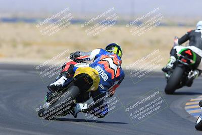 media/May-13-2023-SoCal Trackdays (Sat) [[8a473a8fd1]]/Turn 11 Backside (945am)/